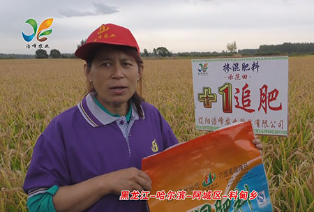 黑龍江-哈爾濱-阿城區-料甸鄉-用戶(hù)回訪(fǎng)視頻