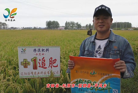 吉林省-松原市-前郭縣-平鳳鄉-用戶(hù)回訪(fǎng)視頻