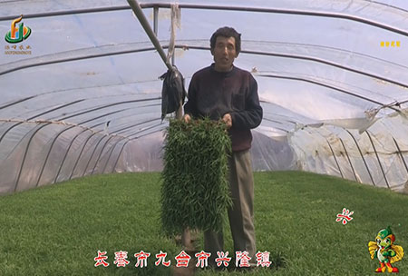 長(cháng)春市-九臺市-興隆鎮-用戶(hù)回訪(fǎng)視頻