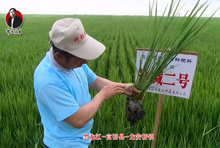 富?？h-龍安橋鎮