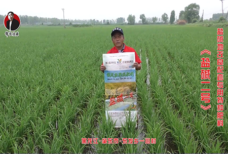 肇東市-東發(fā)鄉一心村