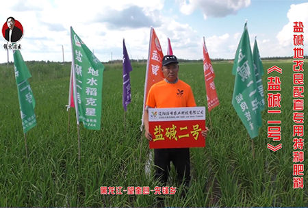 黑龍江-望奎縣-先鋒鄉