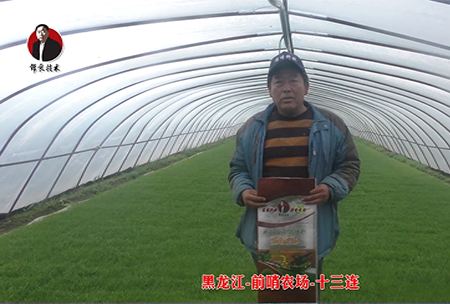 黑龍江-前哨農場(chǎng)-十三連
