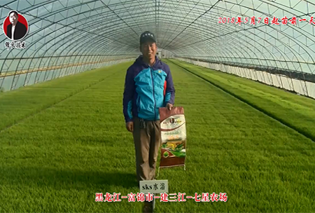 黑龍江-富錦市-建三江-七星農場(chǎng)