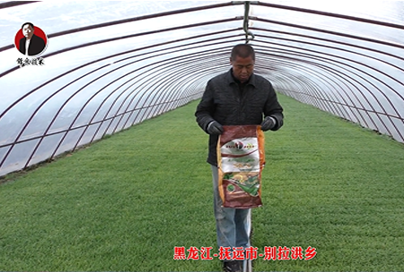 黑龍江-撫遠市-別拉洪鄉