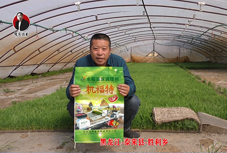 黑龍江-泰來(lái)縣-勝利鄉-01