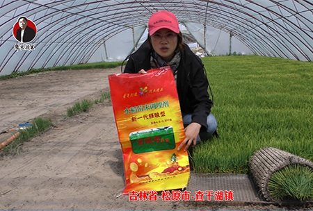 吉林省-松原市-查干湖鎮