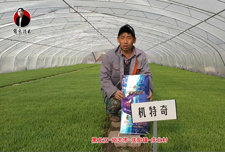 尚志市-慶陽(yáng)鎮-慶北村