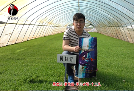 蘿北縣-軍川農場(chǎng)-十三隊