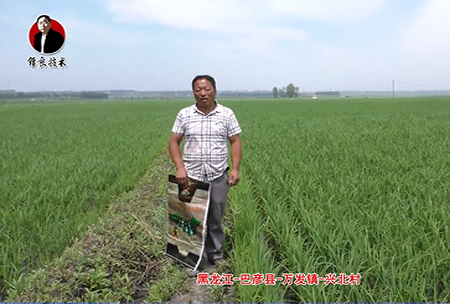 巴彥縣-萬(wàn)發(fā)鎮-興北村