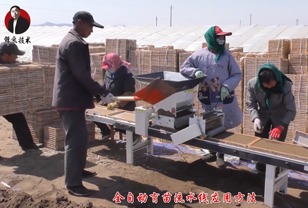 《錦良技術(shù)》水溶壯秧劑-流水線(xiàn)應用